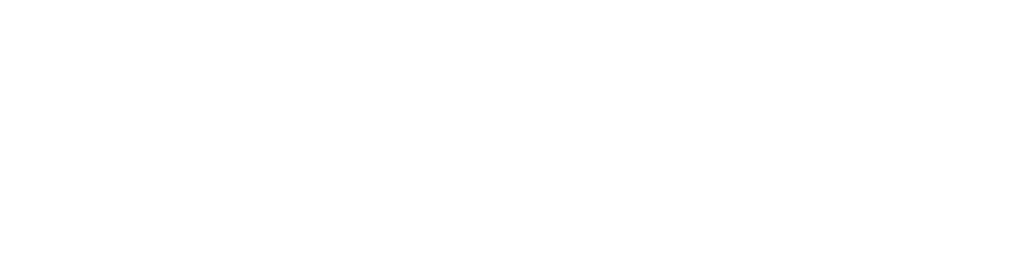 OVERVIEW