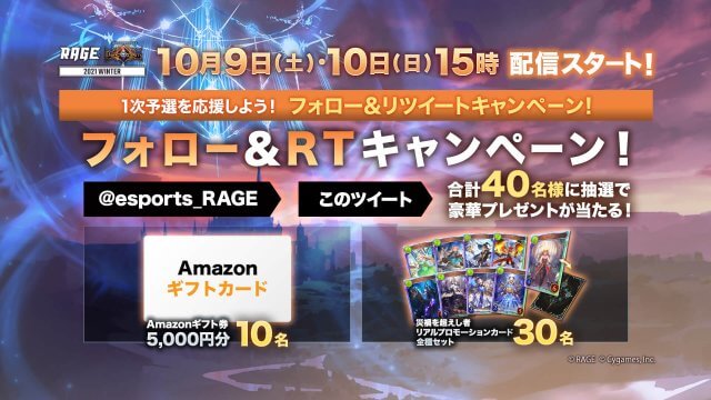 大会規約 大会情報 Rage Shadowverse 2019 Summer